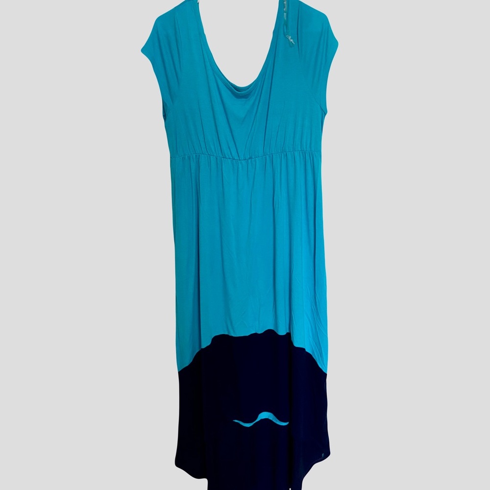 Mix & Co. floor length high/low sleeveless dress
